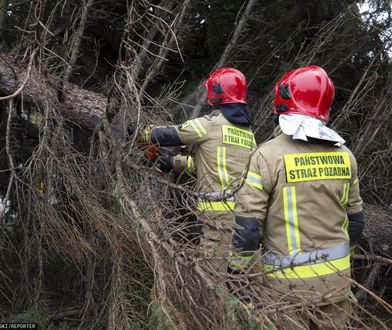 Załamanie pogody coraz bliżej. Nadciąga silna wichura z wiatrem 100 km/h i burzami