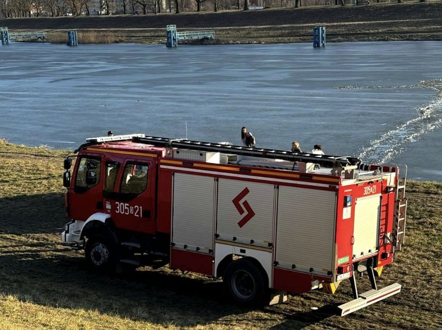 Rzucił się na ratunek psu. Dramatyczne sceny