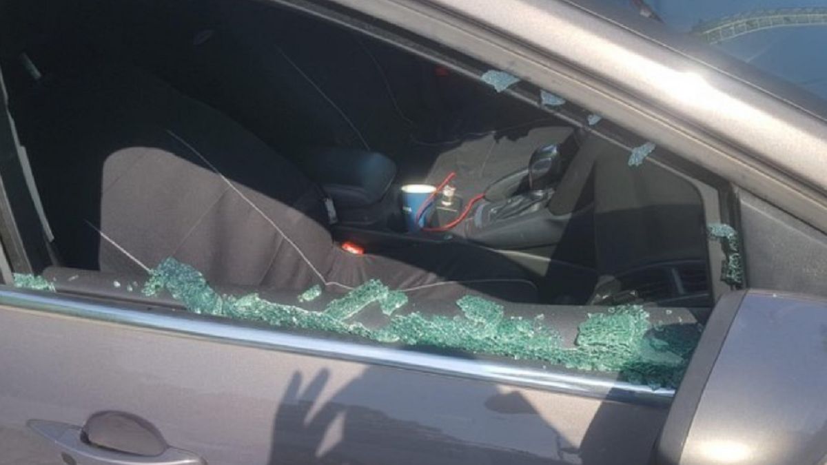 Policjanci uratowali psa. 