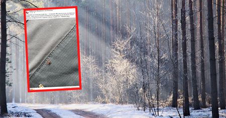 Już są. Leśnicy ostrzegają Polaków