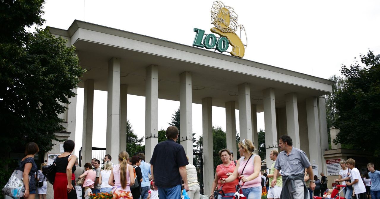Wrocław: ZOO opublikowało ostrzeżenie przed internetowymi oszustami