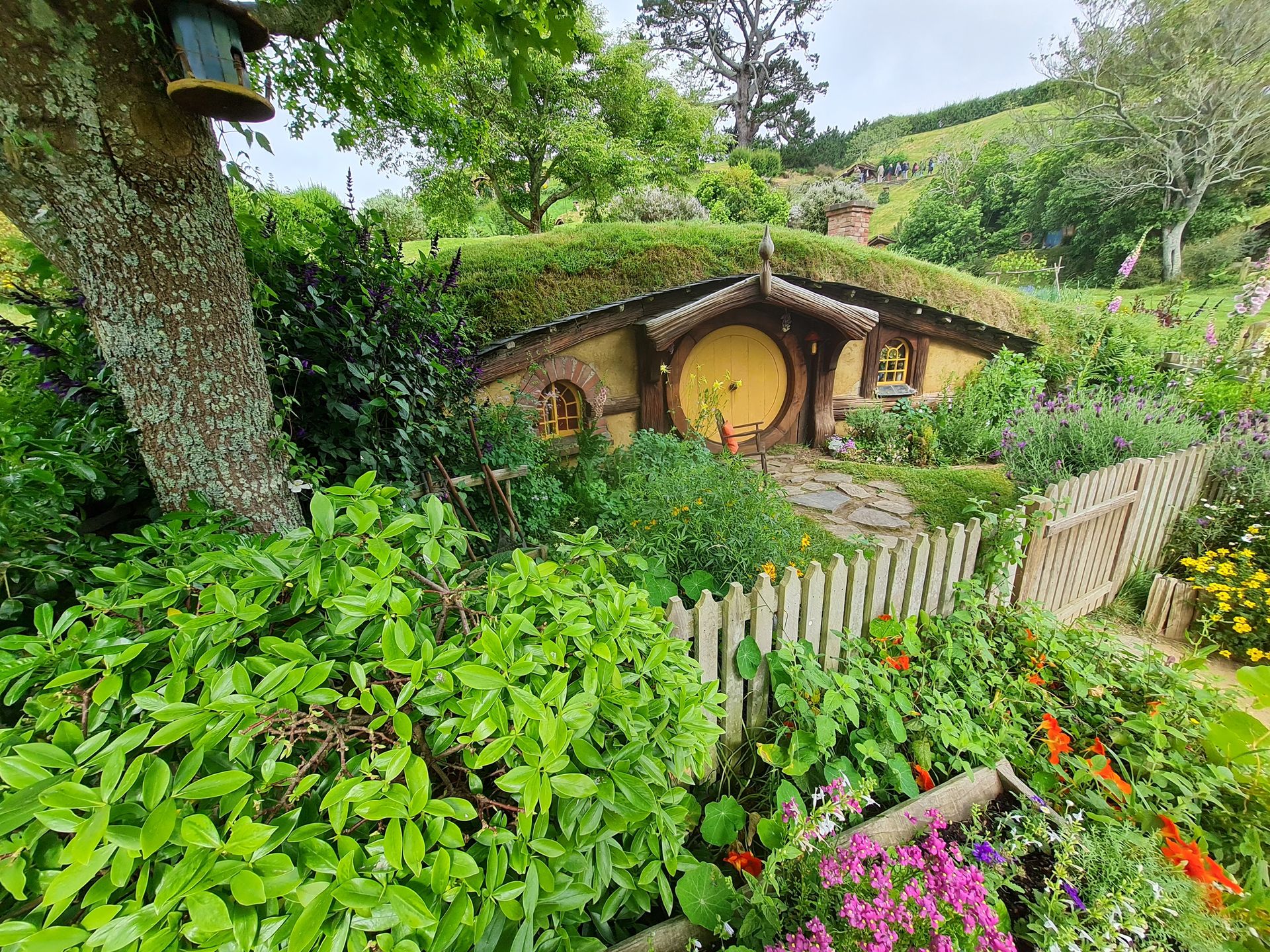 Plan filmowy Hobbiton w Nowej Zelandii. To tu kręcono m.in. sceny do "Władcy Pierścieni" i "Hobbita"