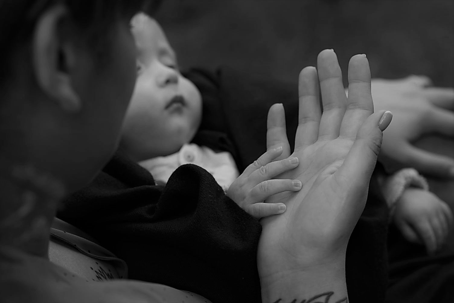 Hospicjum domowe fundacji Gajusz