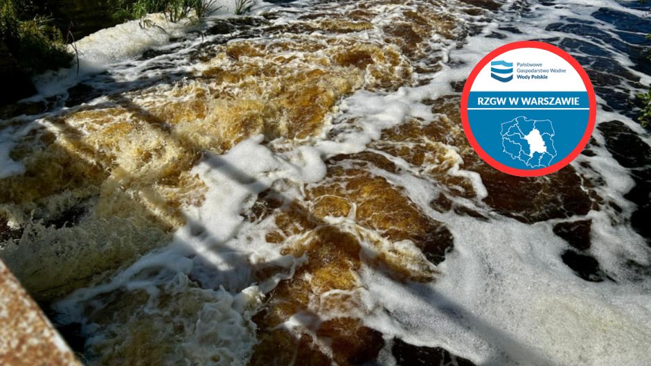 Skażenie rzeki, władze apelują o ostrożność. Mieszkańcy zauważyli mętną wodę i śnięte ryby