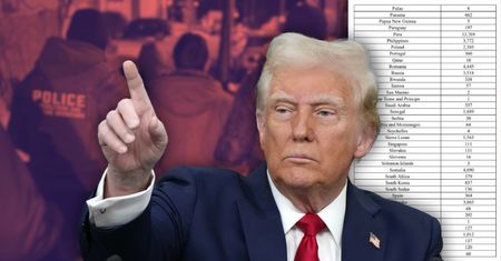 Nowe szczegóły masowych deportacji w USA. Tylu Polaków mają na liście agenci z USA