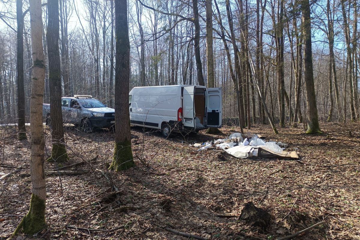 Leśnicy w akcji. Zobaczyli samochód. Karygodne, co robił kierowca
