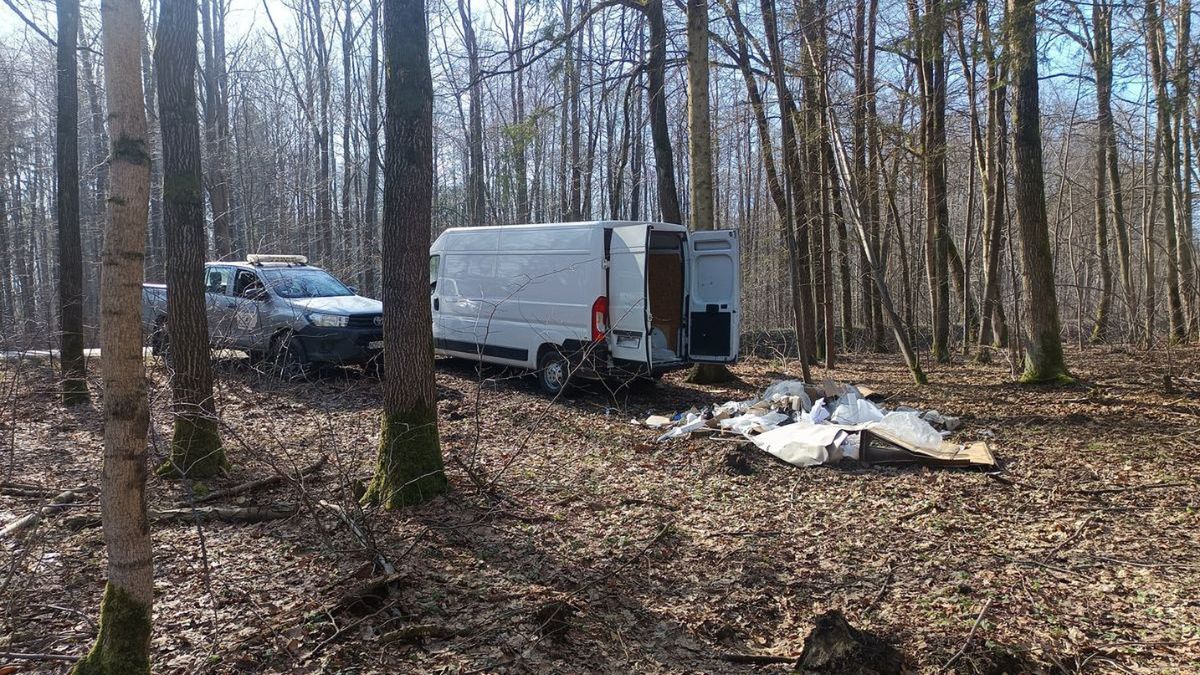 Odpady po remoncie porzucone w lesie. Interwencja leśników