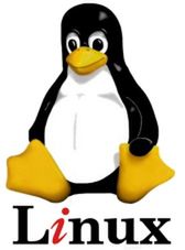 Linux wybije się na kryzysie
