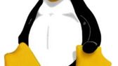 Linux wybije się na kryzysie 1