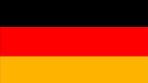 Młodzi Niemcy głosują na Partię Piratów 1