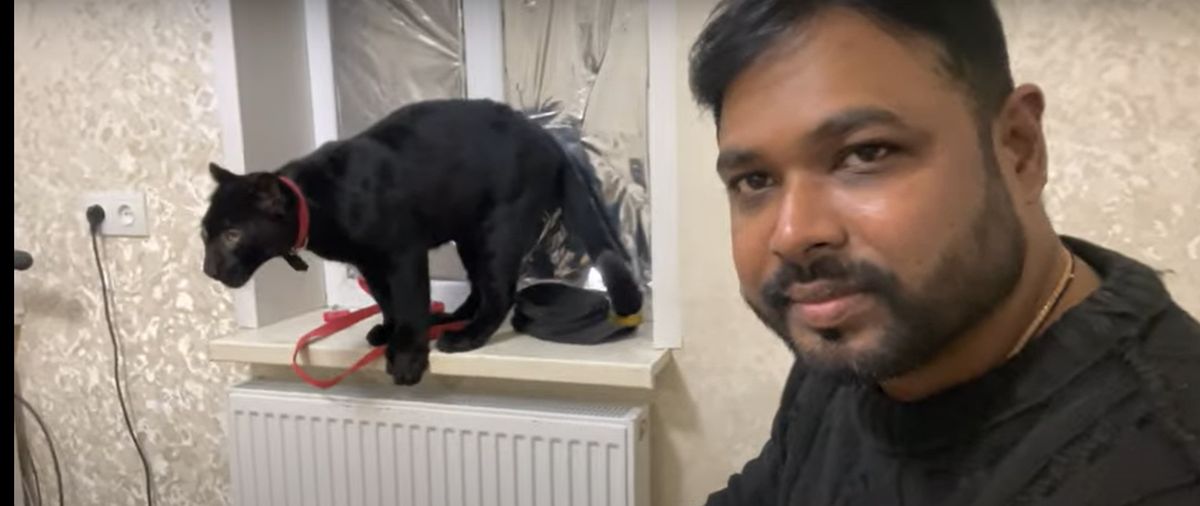 40-letni lekarz z Indii ewakuował się do piwnicy ze swoimi zwierzętami