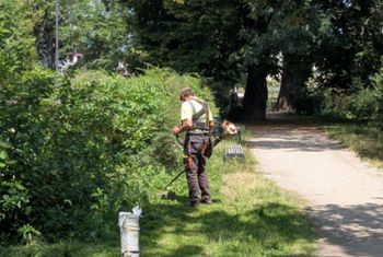 "Nisko, przy samej ziemi". Awantura o koszenie trawy w Warszawie
