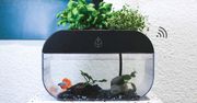 EcoGarden – domowy ogród. Uprawa akwaponiczna, którą obsłużysz smartfonem