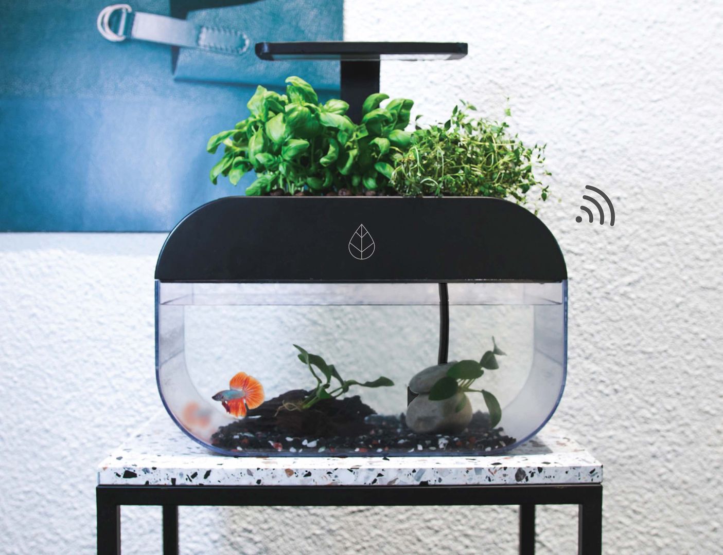 EcoGarden – domowy ogród. Uprawa akwaponiczna, którą obsłużysz smartfonem 1