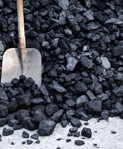Zbliża się sezon grzewczy. Ile kosztuje węgiel? Promocja do 30 września