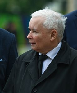 Kto mógłby zostać koalicjantem PiS? Wyniki sondażu zwracają uwagę