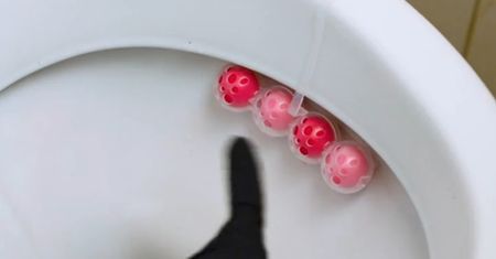 Robisz to źle. Kostkę do WC należy zawiesić inaczej