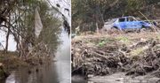 Nagrała, co dzieje się na Nysie Kłodzkiej. "Widok rozdziera serce"