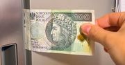 Weź banknot i podejdź do lodówki. Tak możesz oszczędzić na rachunkach
