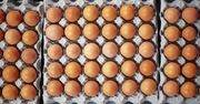 Takich jajek nie kupuj, są najgorszej jakości