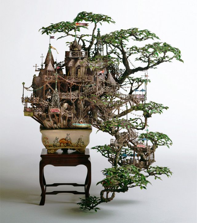 Drzewko bonsai jeszcze piękniejsze niż zwykle