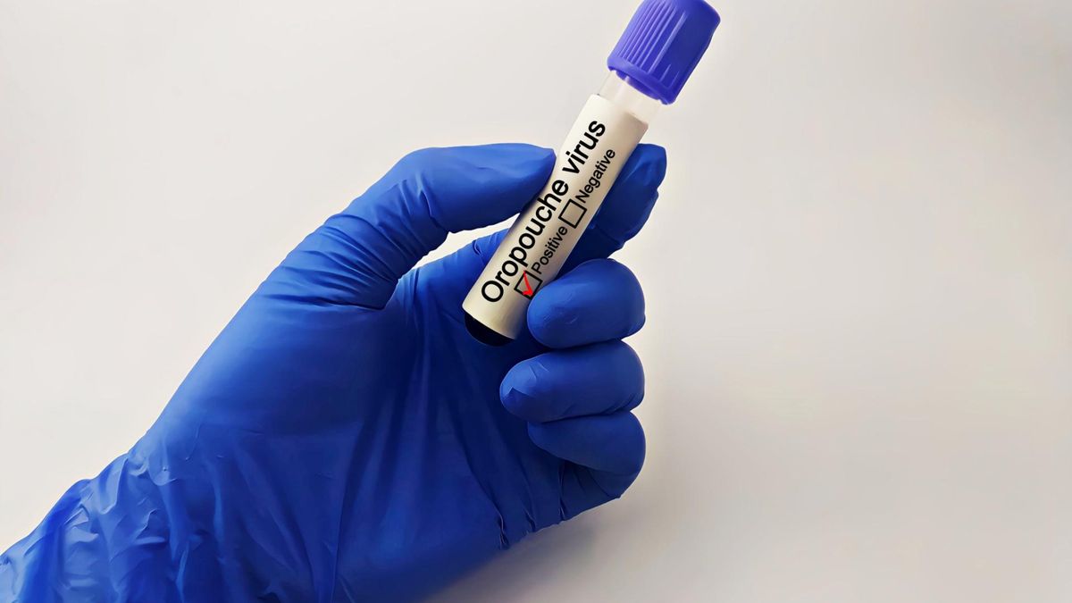 Groźny wirus dotarł do Europy. Przenoszą go muszki i kleszcze