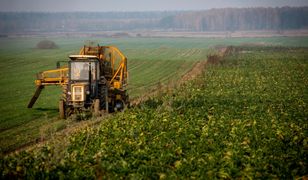 Złe wieści dla rolników. Wyjątkowo ciepły luty narobił problemów