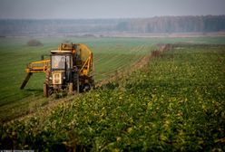 Złe wieści dla rolników. Wyjątkowo ciepły luty narobił problemów