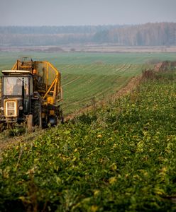 Złe wieści dla rolników. Wyjątkowo ciepły luty narobił problemów