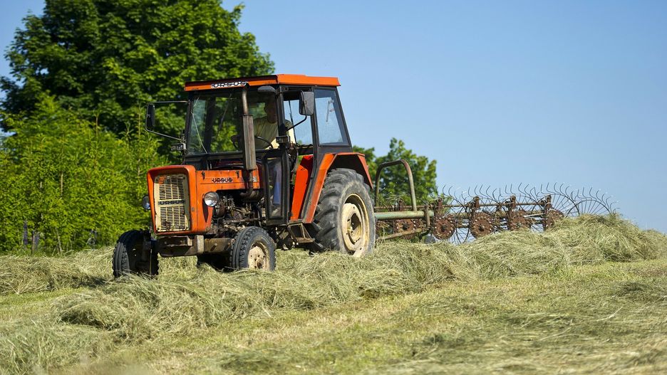 Rolnik, traktor, ciągnik Ursus