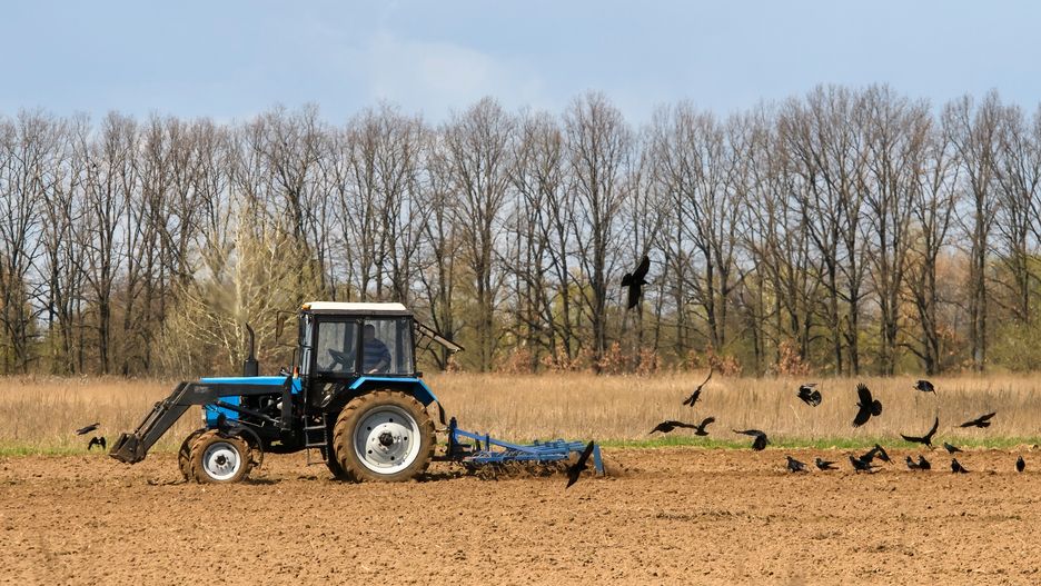 Prace polowe pod Czernihowem, 27 kwietnia 2022 roku 