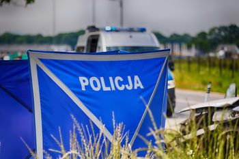 Polscy kierowcy pod lupą. Co robimy źle na drogach?