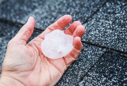 Uprawy tych owoców zniszczone nawet w 100 proc. Resort reaguje