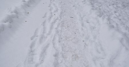 Dziś deszcz, jutro śnieg. W najbliższych dniach spadnie nawet 20 cm białego puchu