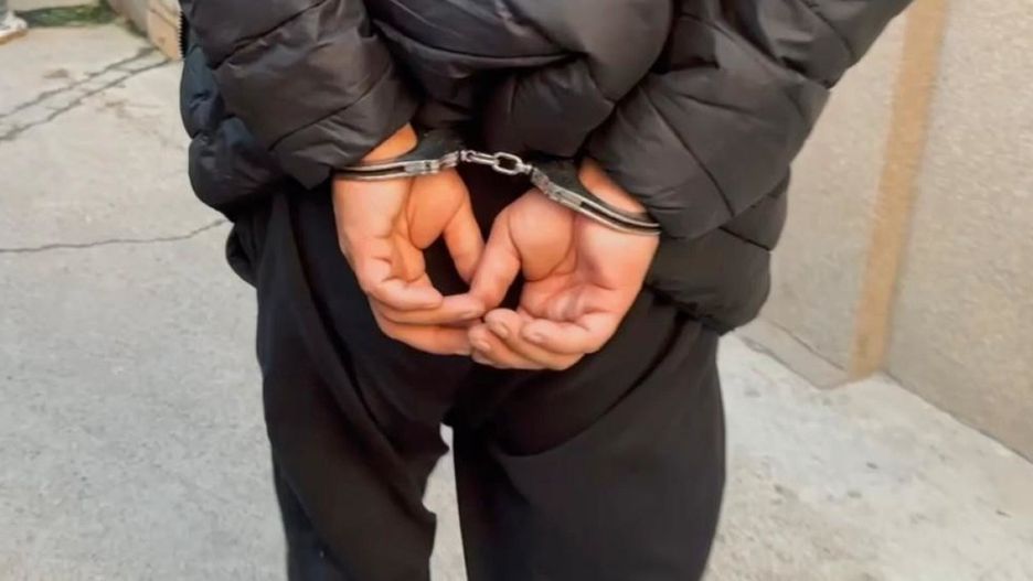 źródło: wola.policja.gov.pl