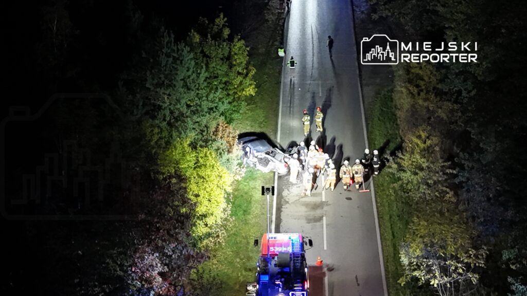 Grupa ratowników i strażaków pracuje przy wypadku drogowym, gdzie samochód wypadł z drogi.