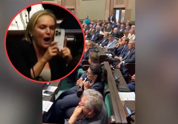 PiS dystansuje się od "szczekającej posłanki", ale kary dla Chorosińskiej na razie nie będzie