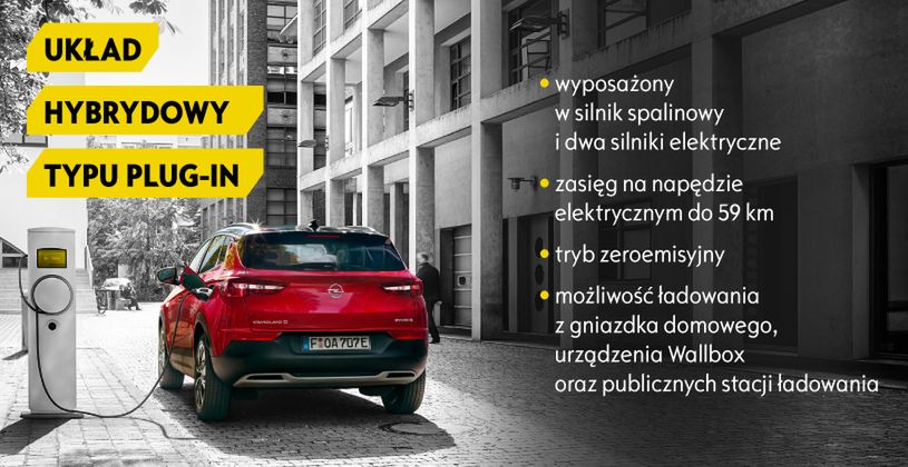 Zdjęcie ilustracyjne do artykułu