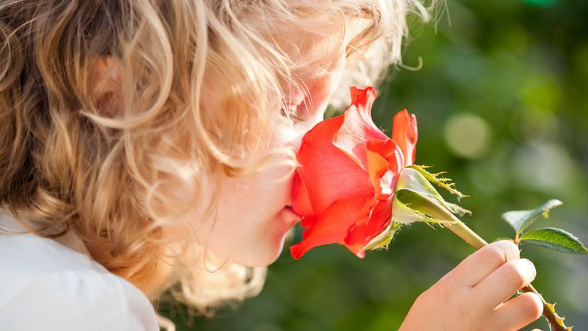 Hiposmia to zmniejszona zdolność do wyczuwania zapachów. Dla osoby z tą dokuczliwą przypadłością, która znacznie pogarsza jakość życia, przestają być one intensywne na tyle, by móc je rozpoznać.
