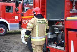 Tragiczne odkrycie nad jeziorem Dargin: spalone zwłoki w trzcinach