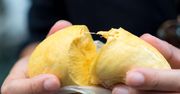 Durian – kontrowersyjny owoc. Nie każdy odważy się zjeść