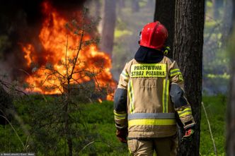 Nawet 30 tysięcy złotych grzywny. Ministerstwo przygotowało projekt