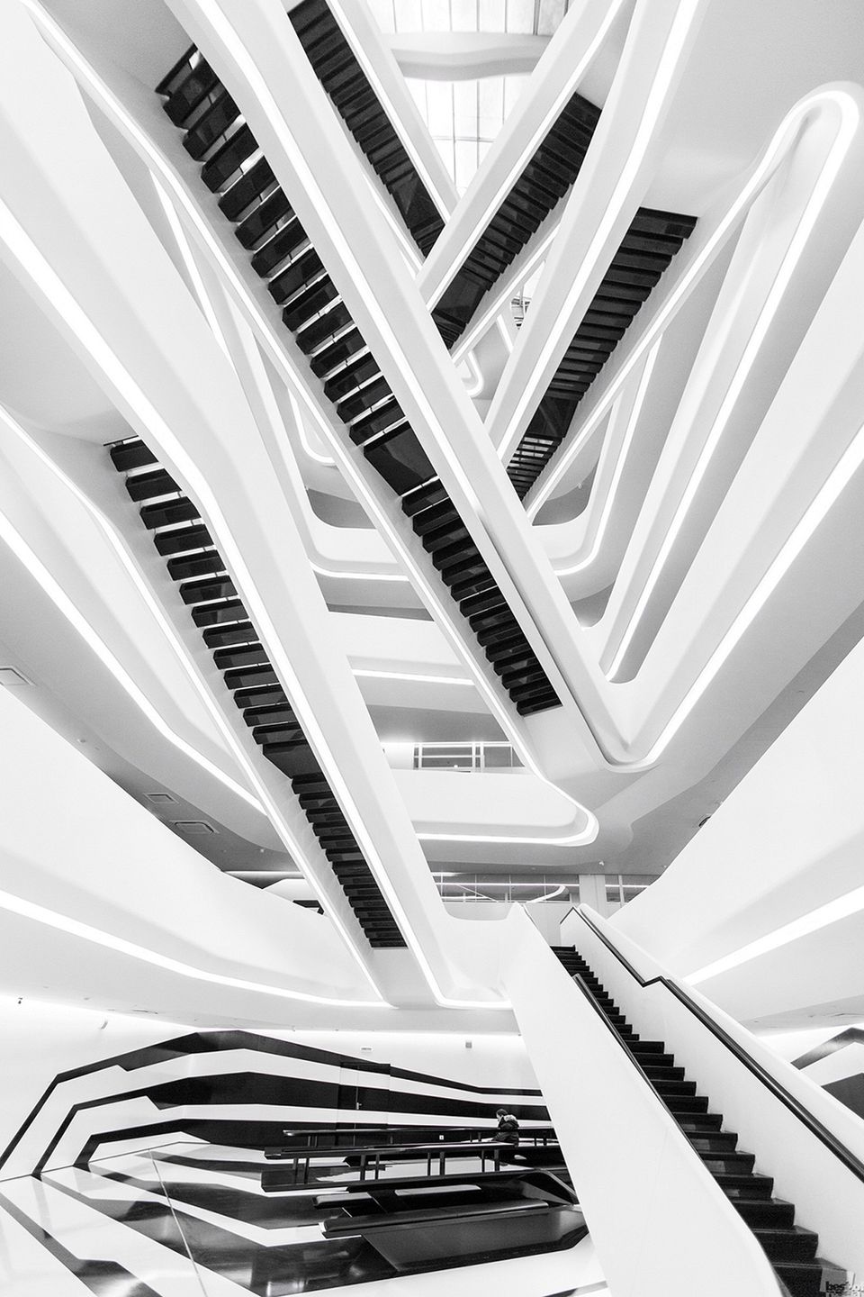 Nominowani do tytułu Najlepszego Fotografa Rosji w konkursie „Best of Russia 2016” 4