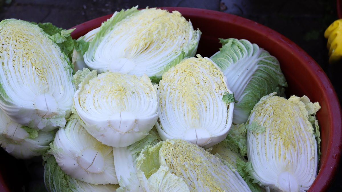 Zdjęcie podglądowe.