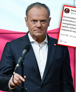 Fala komentarzy po wpisie Tuska. "Miał pan okazję milczeć"