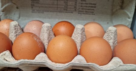 Nadchodzi kolejny kryzys? Na świecie ceny jaj w sklepach szybują. Problem nie ominie Polski