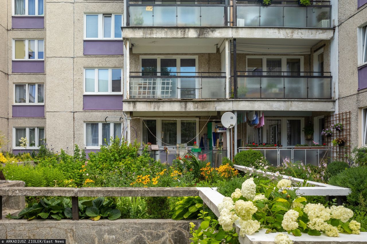 Przepisy na osiedlach są jasne. Te rośliny są zakazane