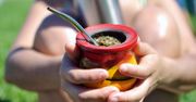 Yerba mate – co to jest i jak ją przyrządzić?