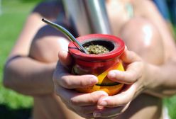 Yerba mate – co to jest i jak ją przyrządzić?