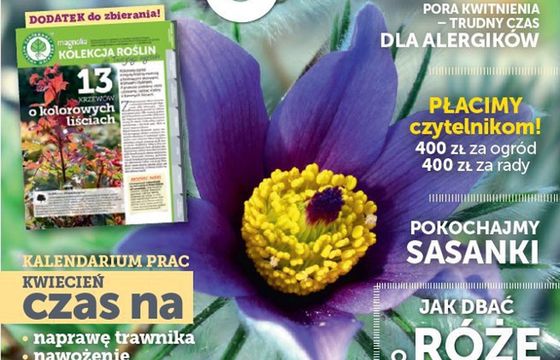 Ewa Czaczkowska redaktor naczelną miesięcznika „Magnolia”. Nowa szata graficzna i większa objętość